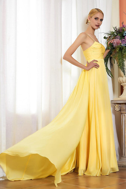 A-line Spaghetti-straps Sleeveless Full Length Chiffon Promo Dresses