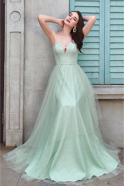 A-line Sweetheart Sleeveless Full Length Tulle Promo Dresses